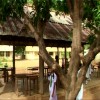 PMV School
