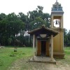 Meesiollai