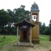 Meesiollai