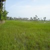Moochchampalam