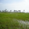 Moochchampalam