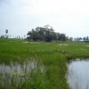 Moochchampalam