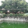 Puttalai