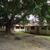 Puttalai