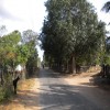 Puloly(Manthikai) School