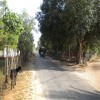 Puloly(Manthikai) School