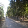 Puloly(Manthikai) School