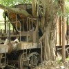 Jaffna Railway Stations Pre-War
