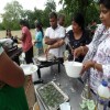 Summer Get-Together