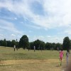 Summer Get-Together