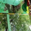 Day 2 Centenary Celebration 25th June 2016