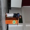 Day 2 Centenary Celebration 25th June 2016
