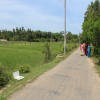 Day 3 Centenary celebration 26th June 2016