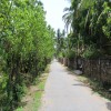 Day 3 Centenary celebration 26th June 2016